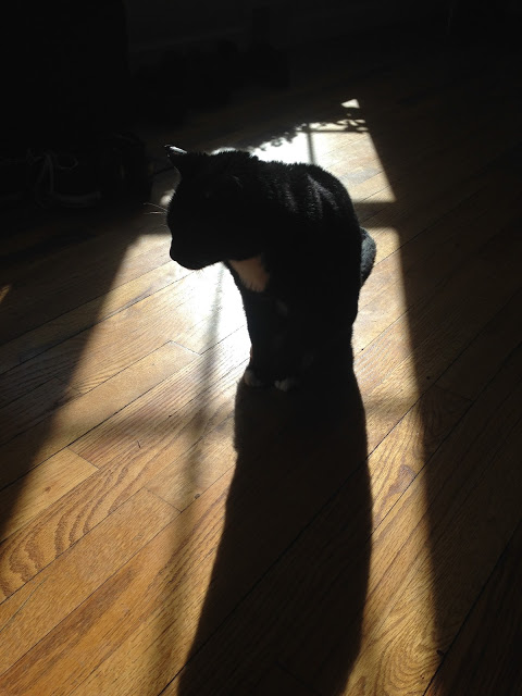 June – Always following the sunny spots